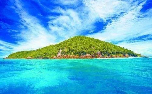 红烧肉要放盐吗游戏画面
