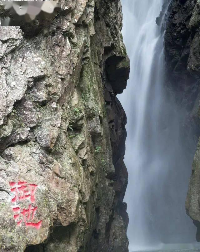赛博朋克酒保行动