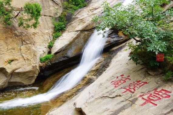 拯救穆尔小马